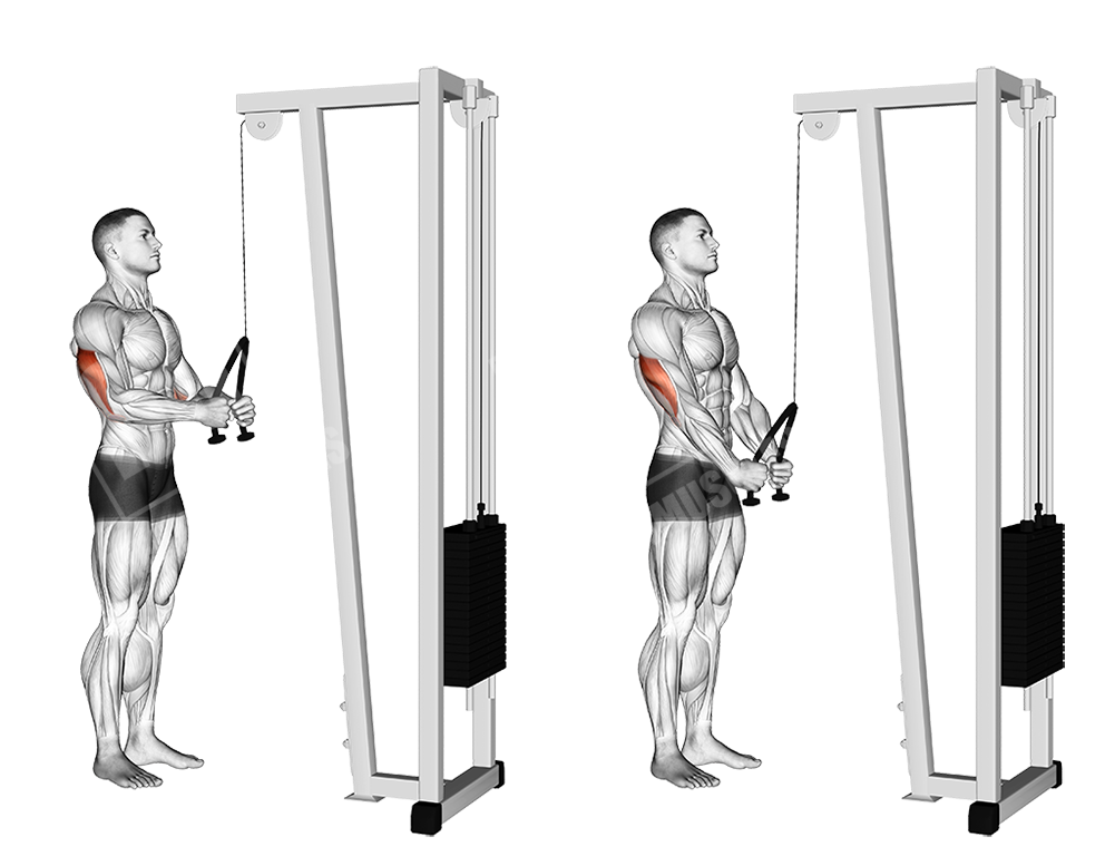 rope pushdown