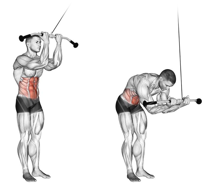 cable standing crunch