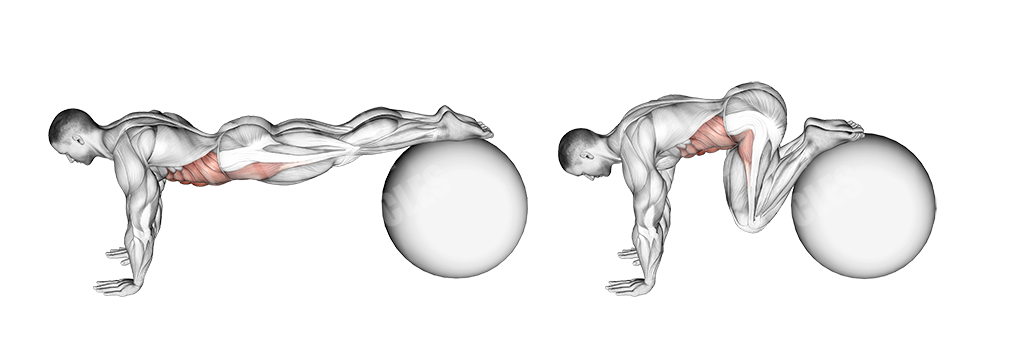 stability-ball-pull-in