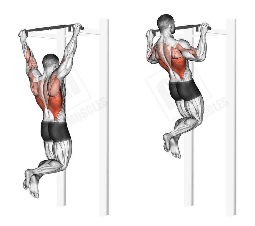 Bodyweight pull-ups