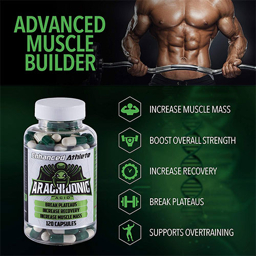 Enhanced Athlete Arachidonic Acid