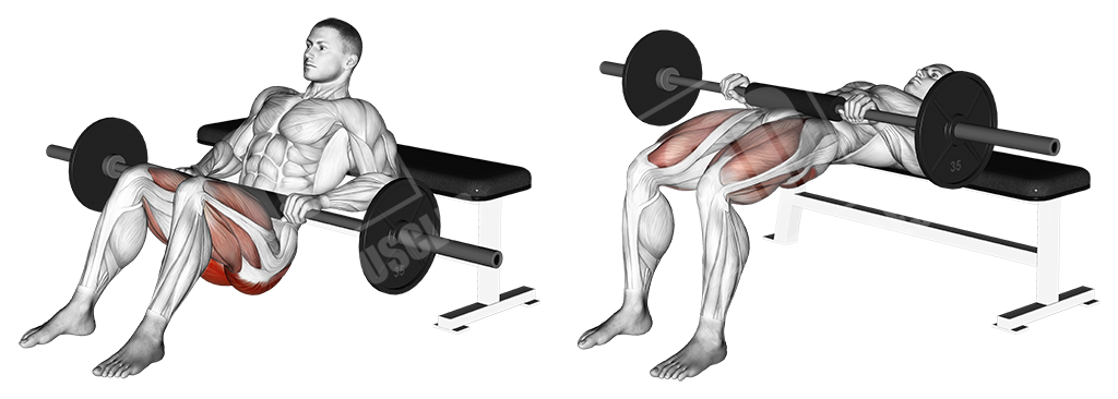 Barbell hip thrusts