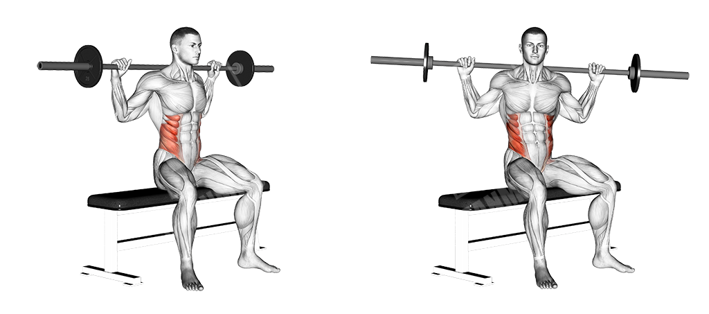 barbell seated twist