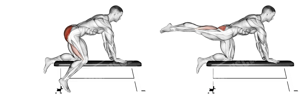 Bench hip extensions