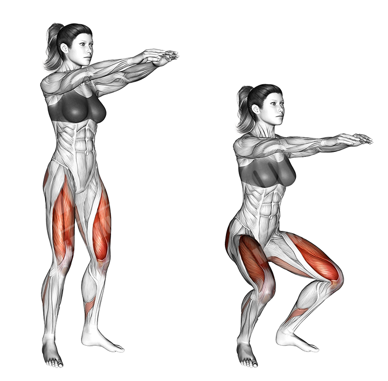 Bodyweight squat