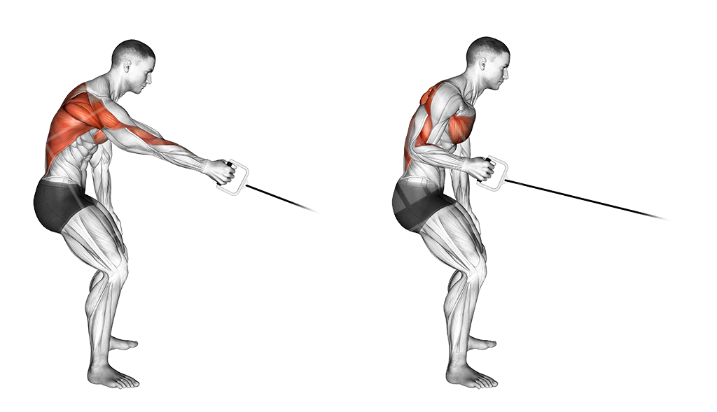 cable one arm standing row