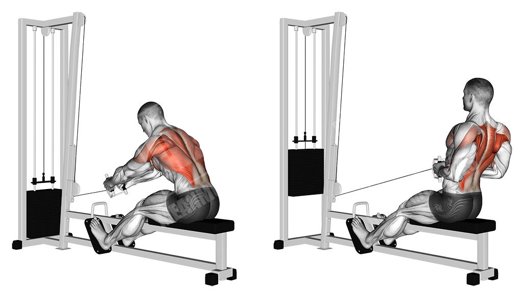 Cable seated rows