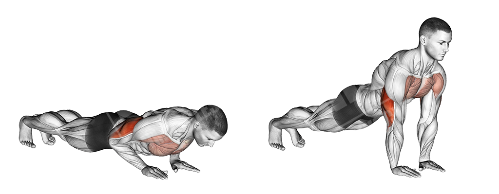 close grip push ups