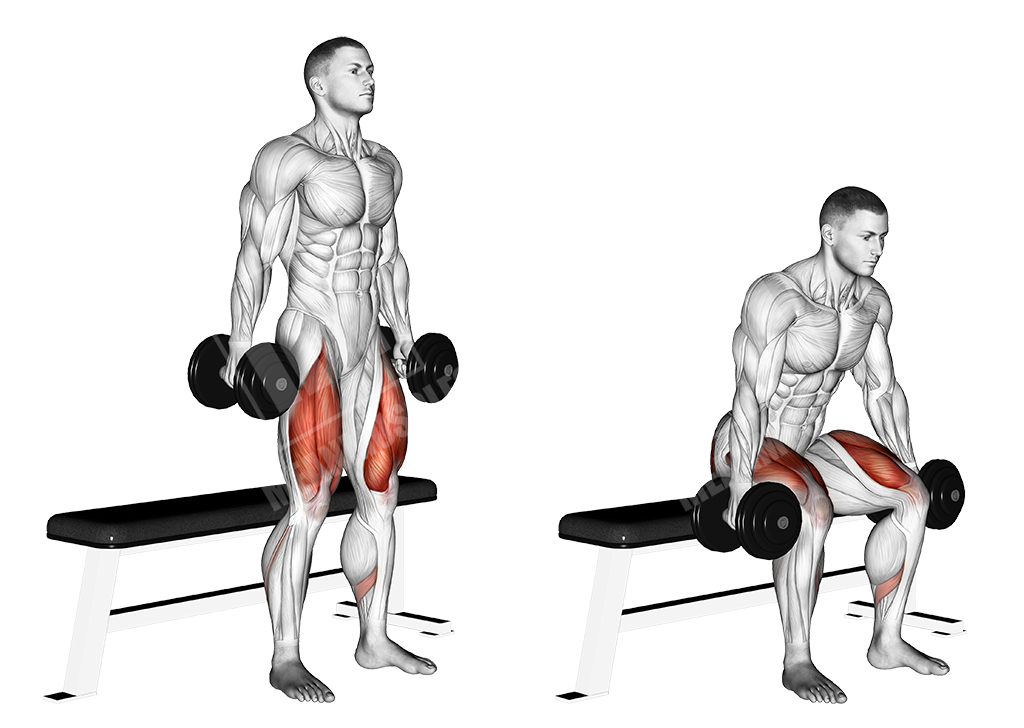 Dumbbell Bench Squat