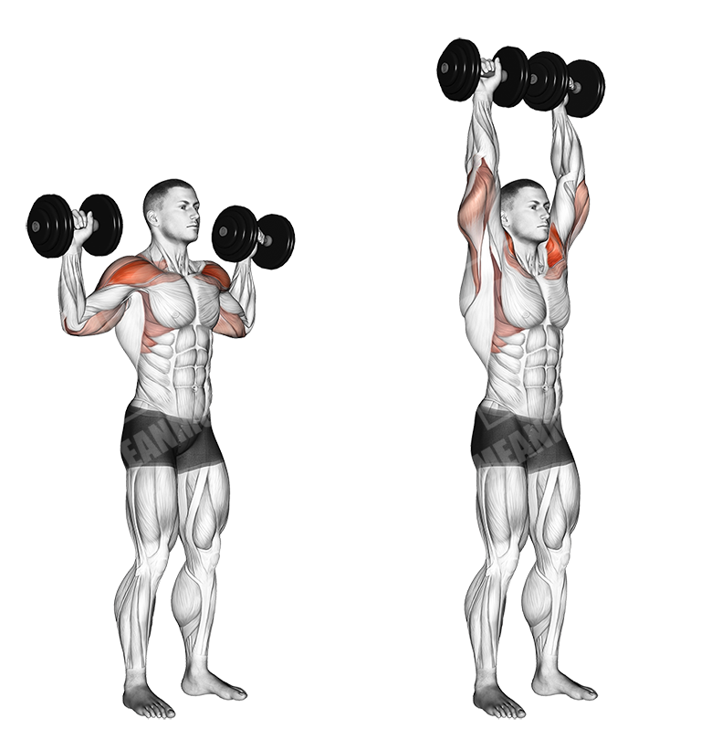 Dumbbell Standing Shoulder Press