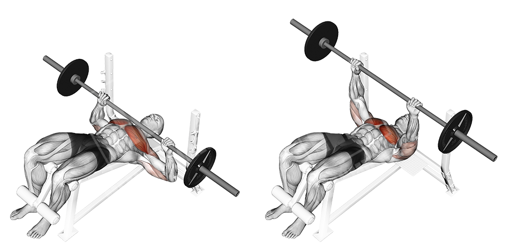 Decline barbell bench press