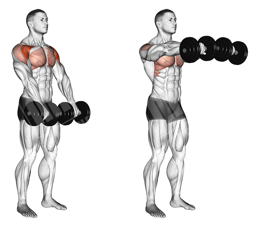 Dumbbell front raises