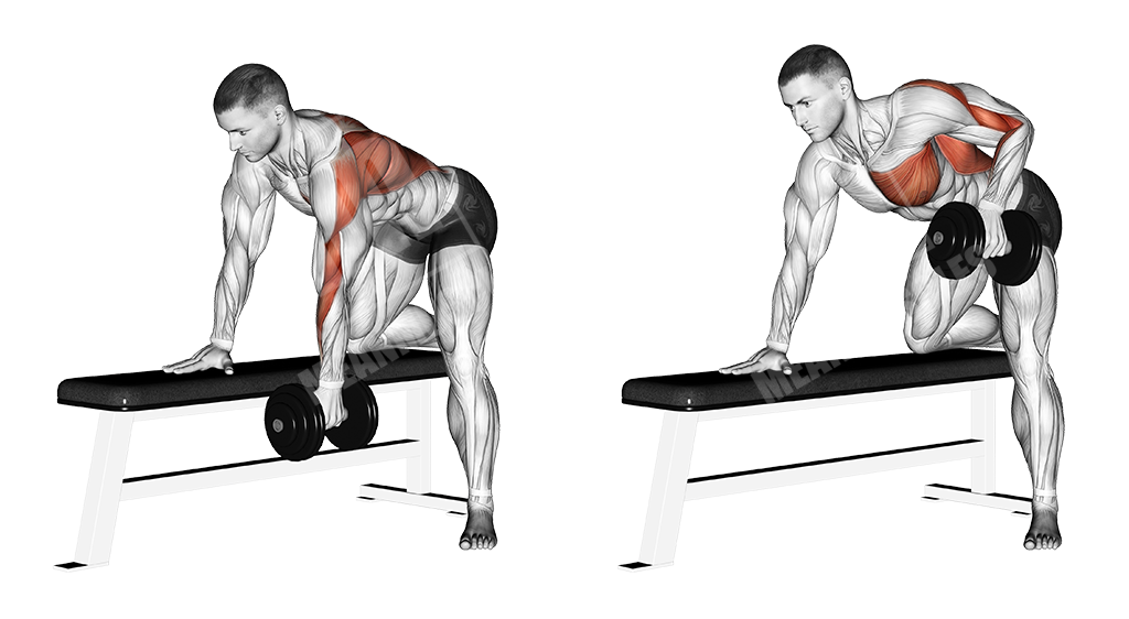 dumbbell rows