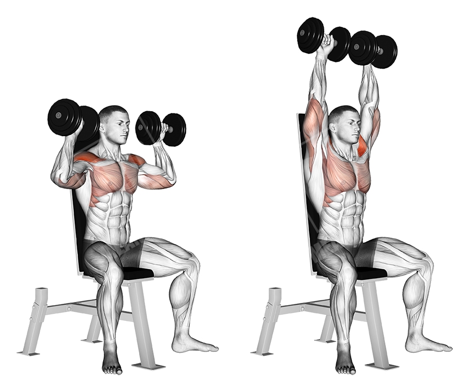 Dumbbell shoulder press