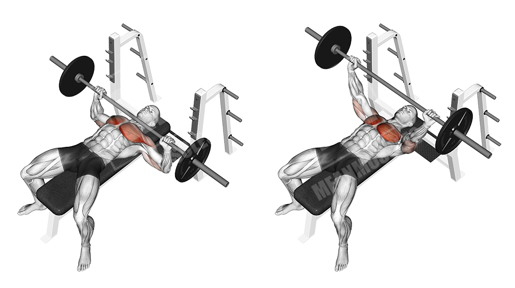 Barbell bench press