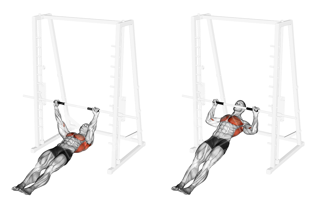 inverted row