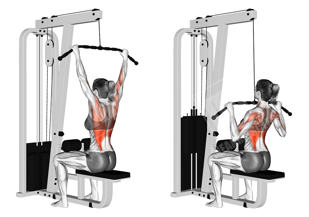 Vertical lat pulldown