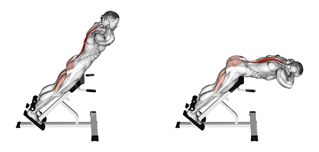 Lower back hyper-extension