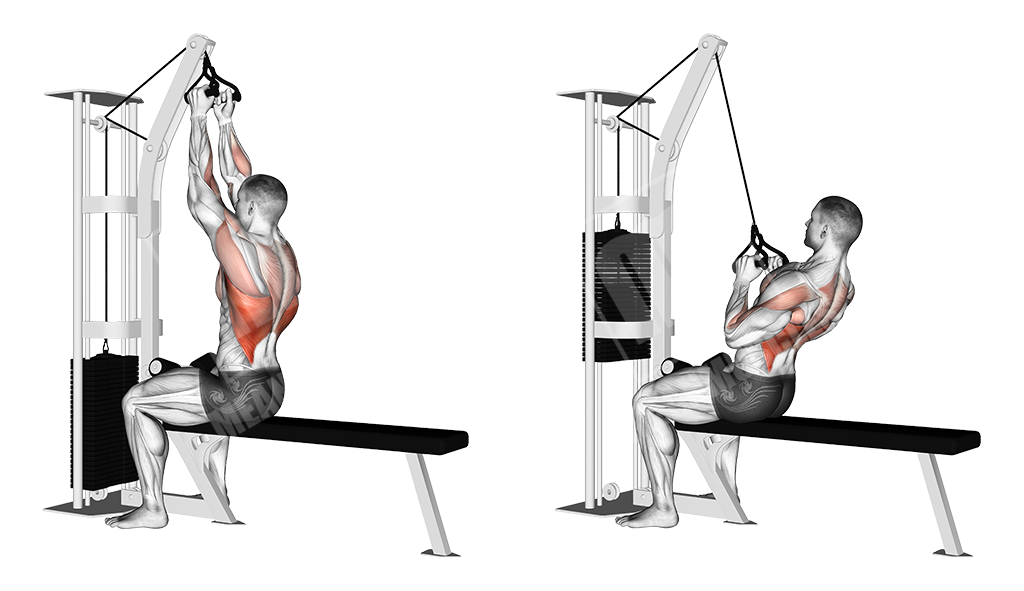 Vertical lat pull down (narrow grip)