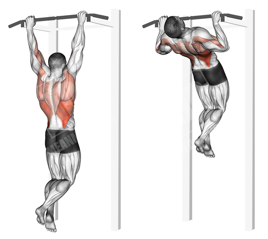 Rocky pull-ups 