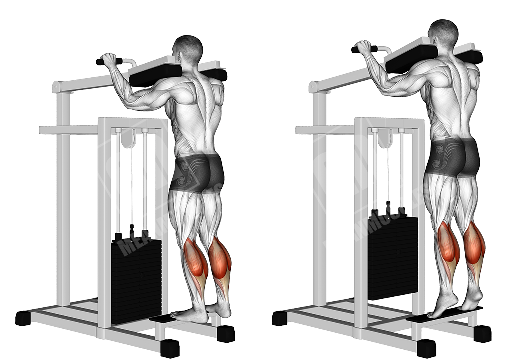 Standing calf raise