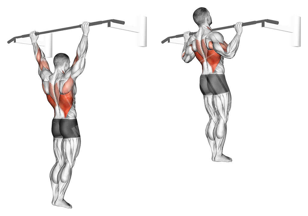 Bodyweight wide grip pull ups